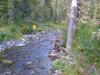 karagu-kuzia_0000055_t1.jpg