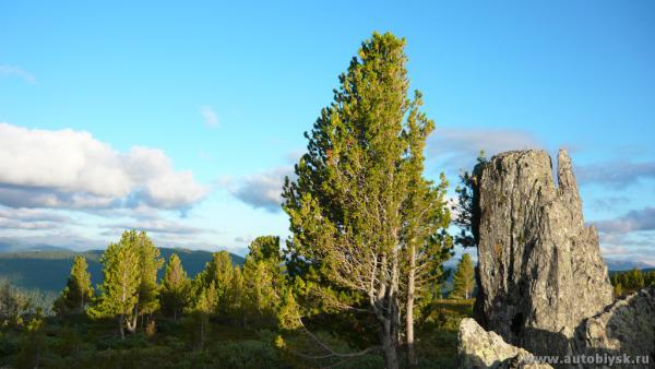 karagu-kuzia_0000081.jpg