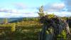 karagu-kuzia_0000082_t1.jpg