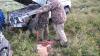ugul_0000053_t1.jpg