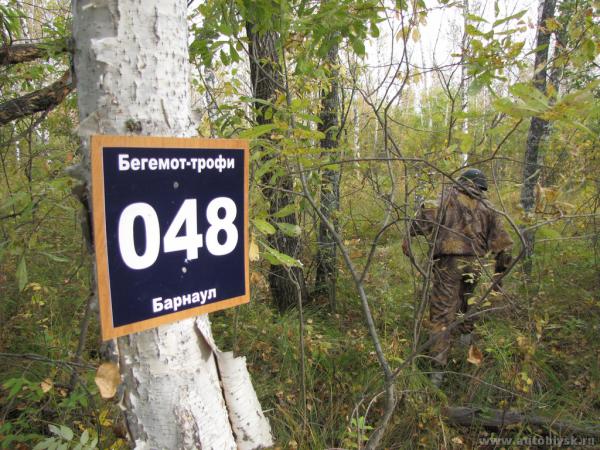 begemot_200037.jpg