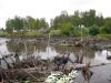 begemot_200149_t1.jpg