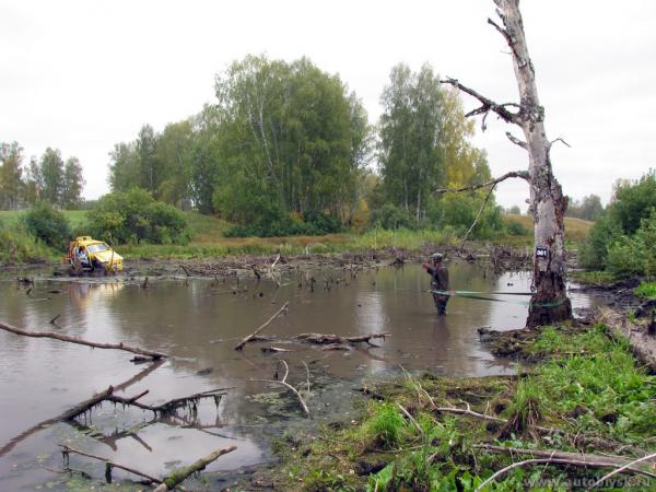begemot_200162.jpg