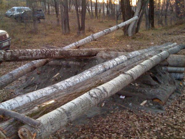 IMG_0788.jpg