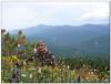 bagatash_00081_t1.jpg