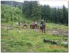 bagatash_00118_t1.jpg