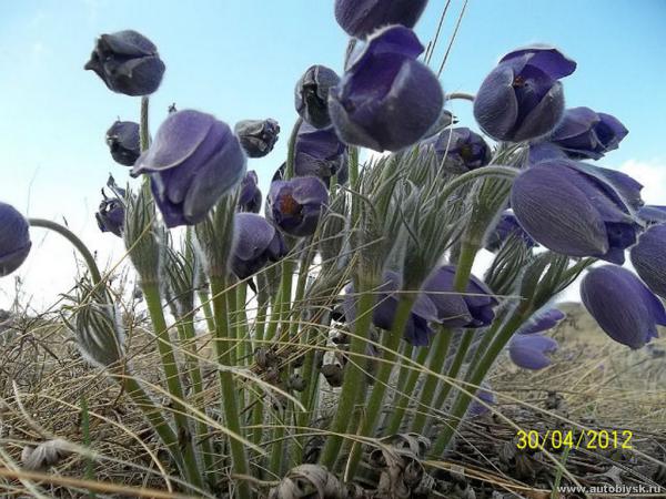 bitva_01-05-1200000191.jpg