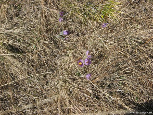 bitva_01-05-1200000318.jpg