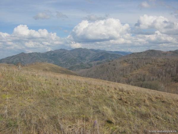 bitva_01-05-1200000319.jpg