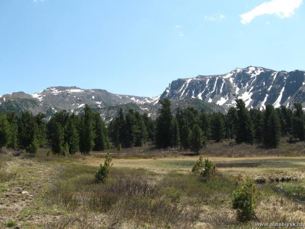 buyuki_01-06-12_90000020.jpg