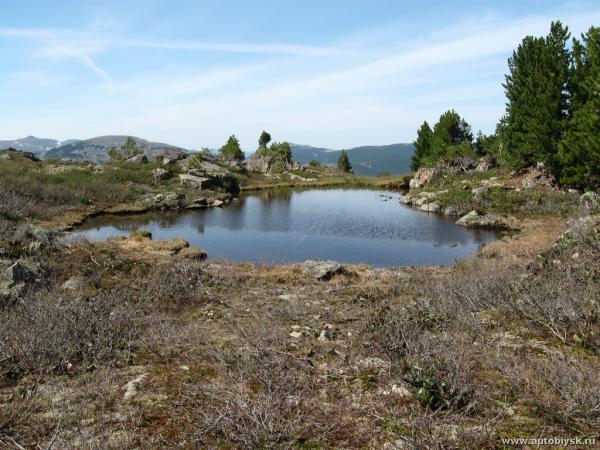 buyuki_01-06-12_90000032.jpg