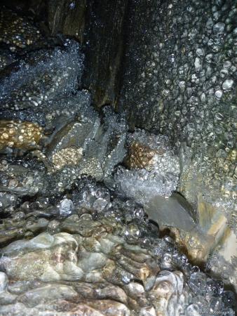 buyuki_01-06-12_90000040.jpg