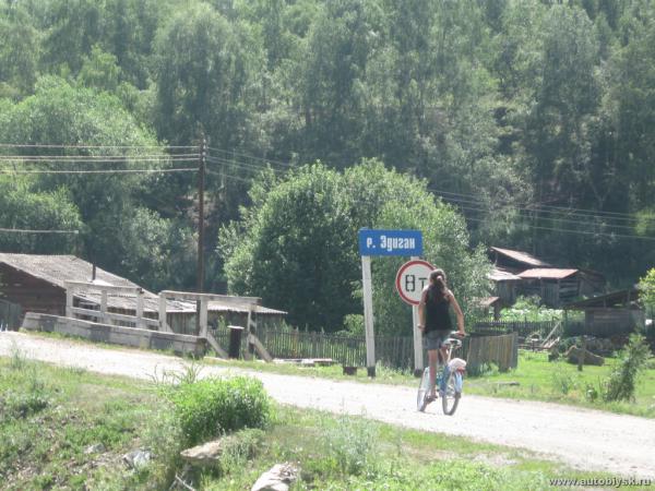 saygonosh-2012_000002.jpg