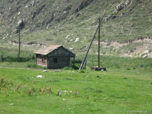 saygonosh-2012_000004.jpg