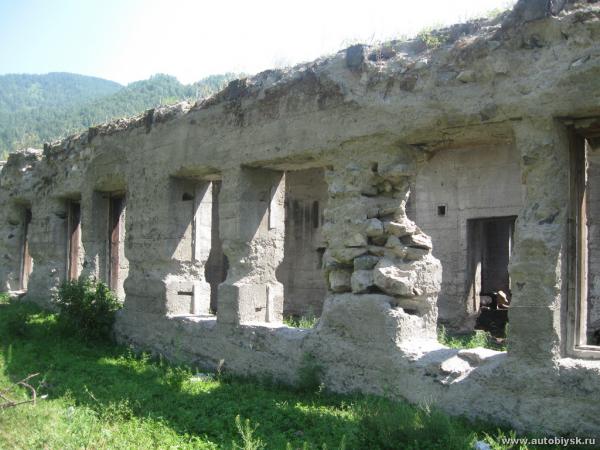 saygonosh-2012_000008.jpg