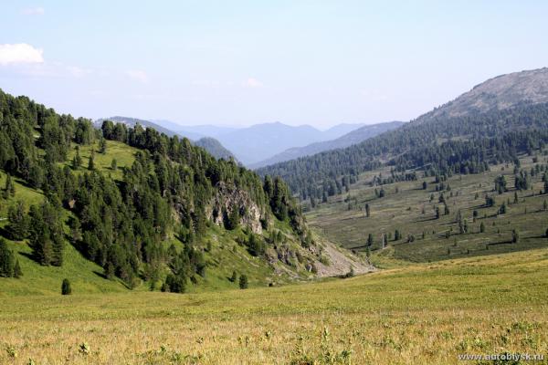 saygonosh-2012_000037.jpg
