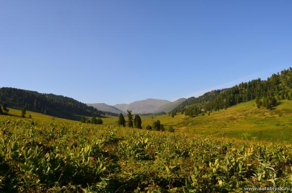 saygonosh-2012_000043.jpg