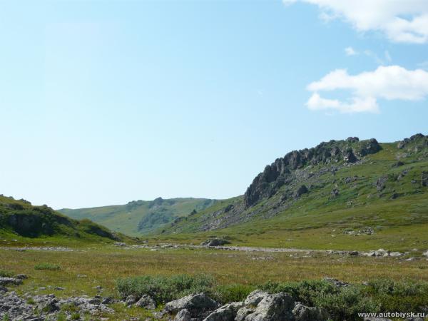saygonosh-2012_000083.jpg