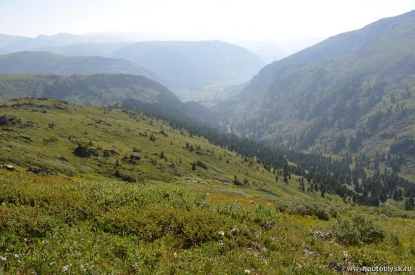 saygonosh-2012_000102.jpg