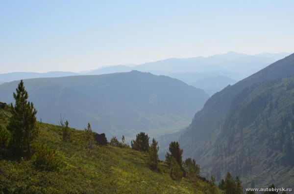 saygonosh-2012_000116.jpg