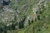 saygonosh-2012_000118_t1.jpg