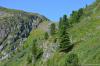 saygonosh-2012_000119_t1.jpg