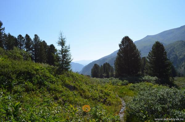 saygonosh-2012_000123.jpg