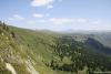 saygonosh-2012_000126_t1.jpg