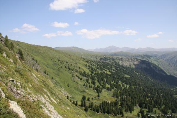 saygonosh-2012_000126.jpg