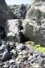 saygonosh-2012_000129_t1.jpg