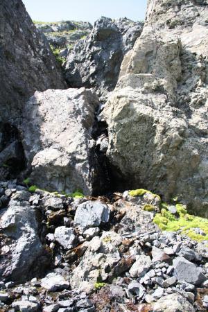 saygonosh-2012_000129.jpg