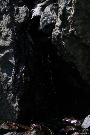 saygonosh-2012_000130.jpg