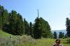 saygonosh-2012_000140_t1.jpg