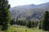 saygonosh-2012_000142_t1.jpg