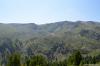 saygonosh-2012_000148_t1.jpg