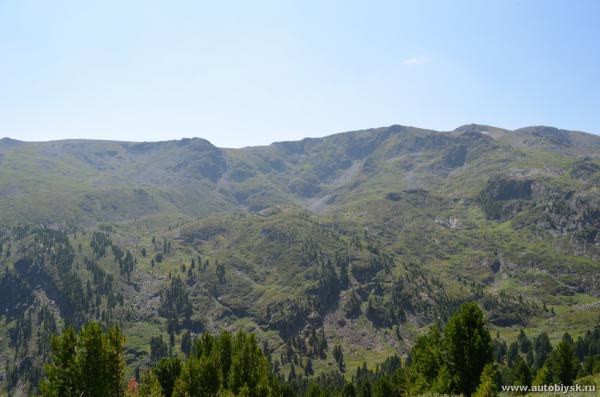 saygonosh-2012_000148.jpg