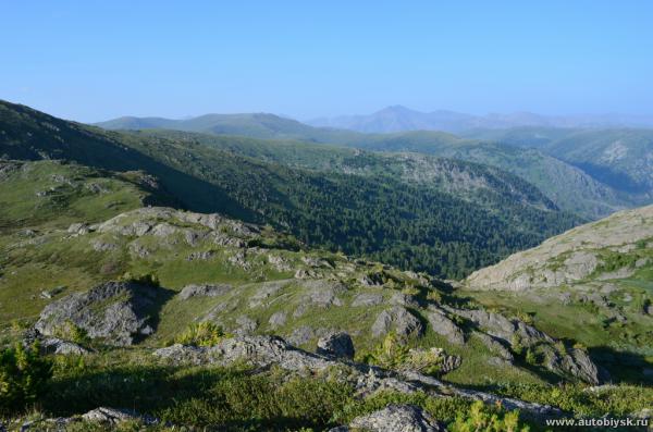 saygonosh-2012_000157.jpg