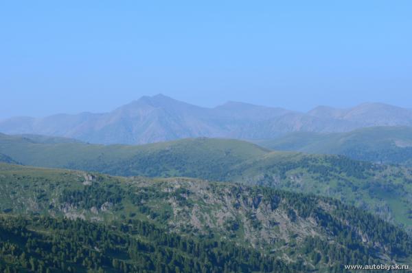 saygonosh-2012_000158.jpg