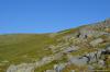 saygonosh-2012_000164_t1.jpg
