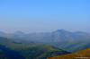 saygonosh-2012_000170_t1.jpg