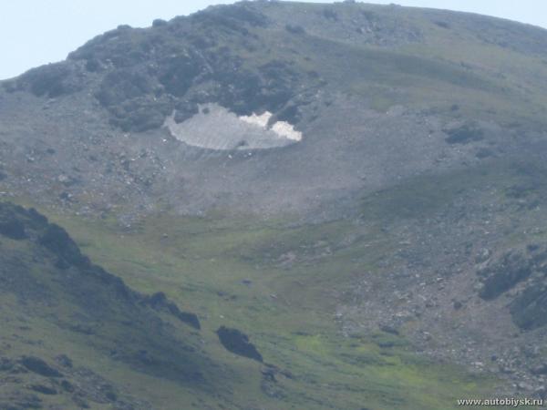 saygonosh-2012_000172.jpg