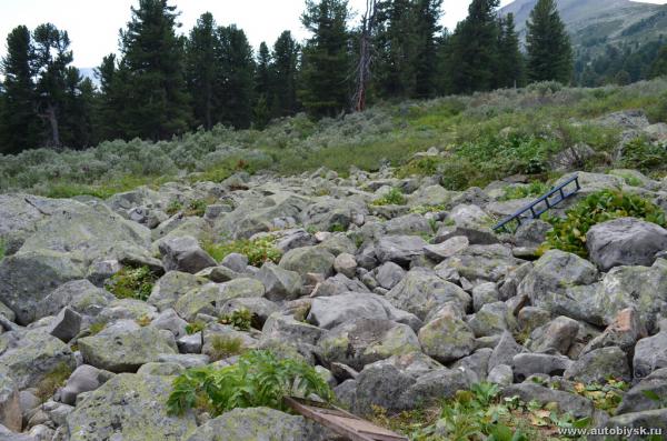 oskin_lake-2012_000062.jpg