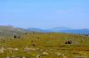 sagany-2012_000029_t1.jpg