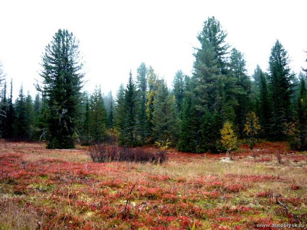 iogach_2012_000069.jpg