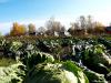 turist_2012_000110_t1.jpg