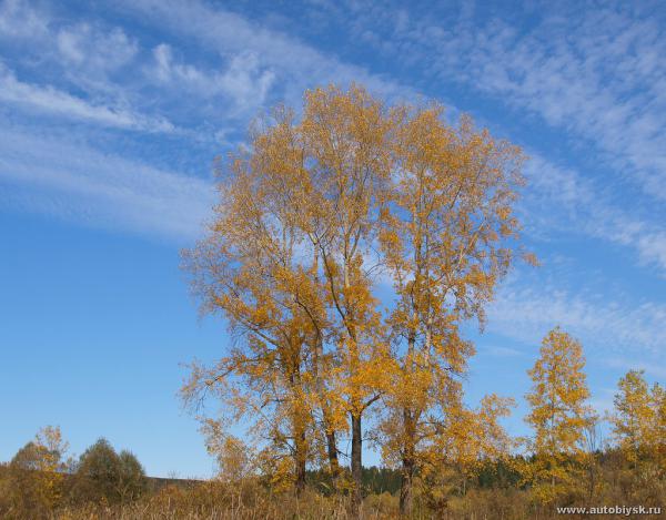 turist_2012_000120.jpg