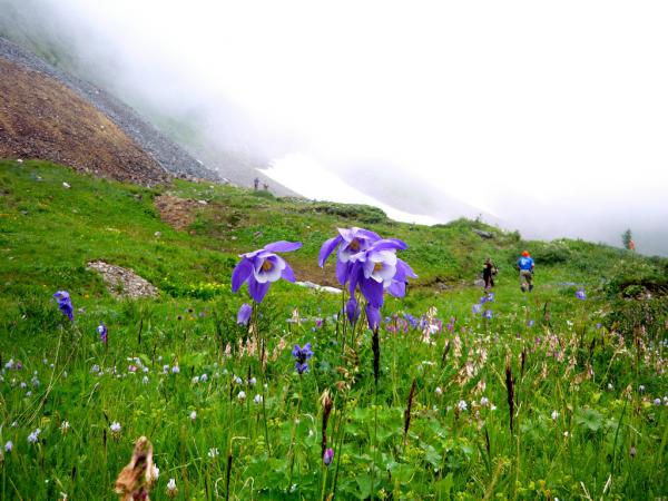 fest-2012_0069.JPG