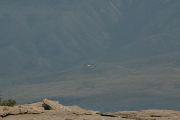 fest-2012_0131.JPG