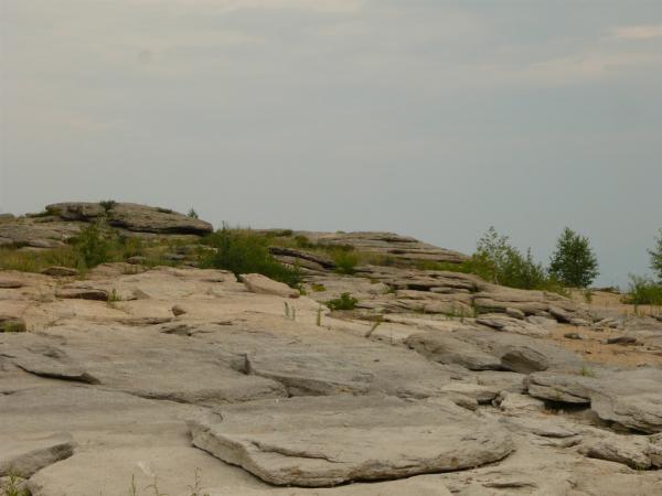 fest-2012_0170.JPG