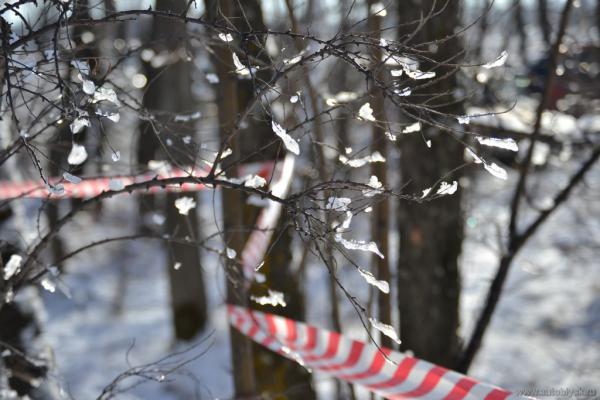 trial_201200021.jpg